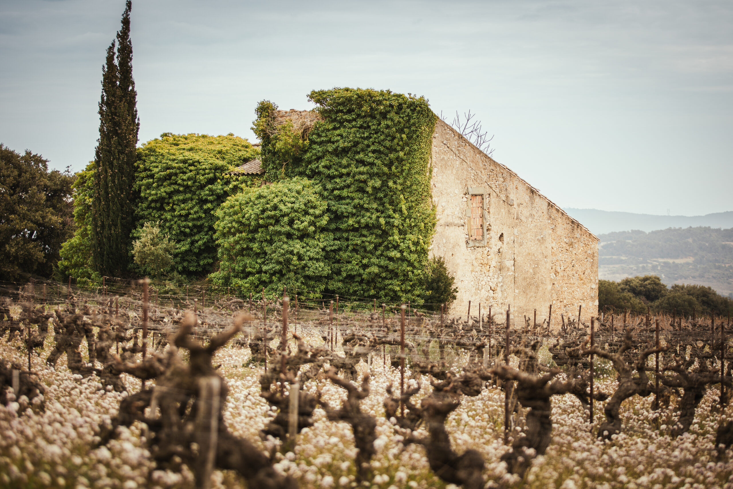 Gueuleton-44